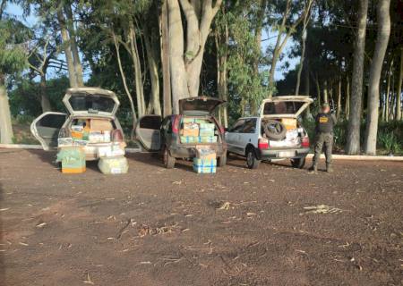 DOF apreende três veículos carregados com mais de R$ 1 milhão em mercadorias